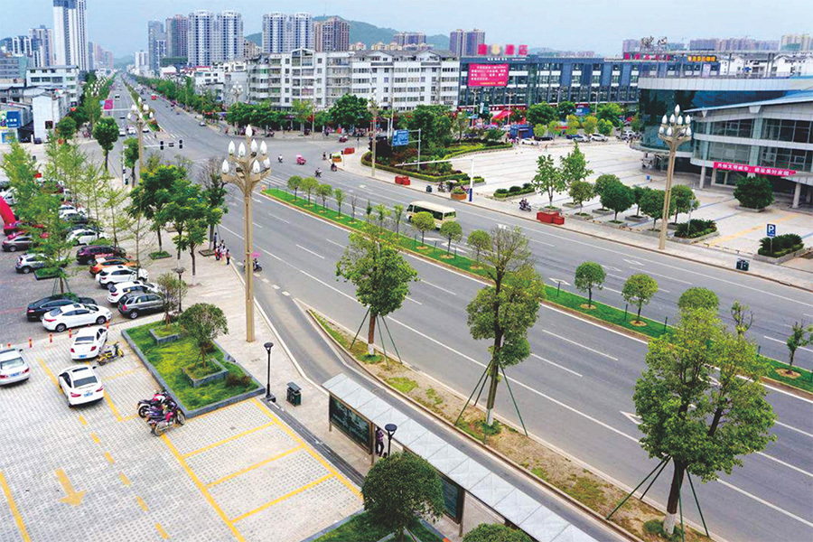 樟木头镇南五路延长线及八中环路二期道路工程